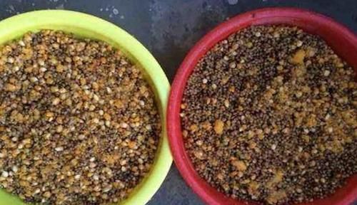 钓鱼技巧：科学打窝的几大原则，快速诱鱼成群，聚而钓之！