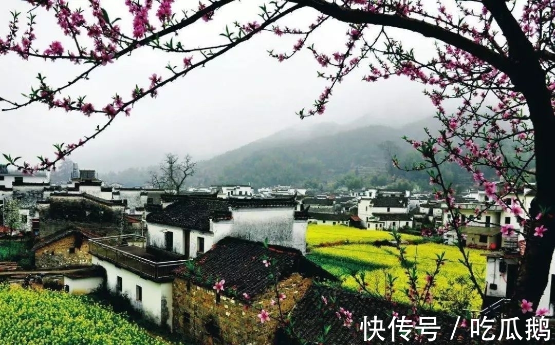 王献之!千古留名颜真卿。张养浩的这首古诗,每一句都有你想知道的故事