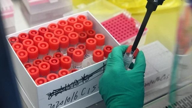 专家谈华南海鲜市场疫情源头问题剖析 专家谈华南海鲜市场疫情源头问题剖析