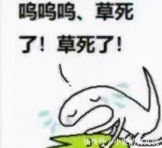 数字梗|除了114514,你还知道哪些二次元常见的数字梗?