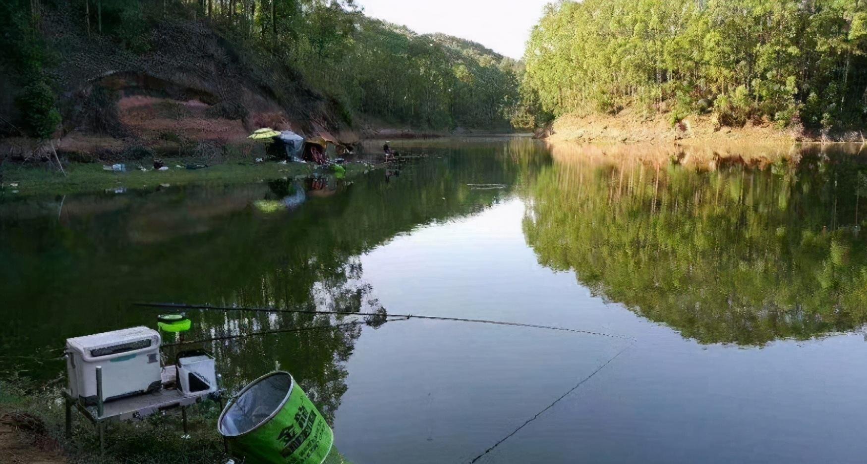 野钓鲤鱼这些年，调漂、窝料技巧全在这儿了
