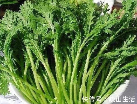 五香粉|它叫“皇帝菜”，3元买一把，清热清脂，助睡眠，多吃补钙又补铁