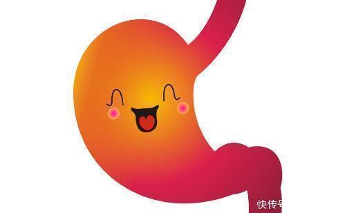 蛋白酶|胃不好,别光吃药,吃点养胃食材,两种最常见,别不相信