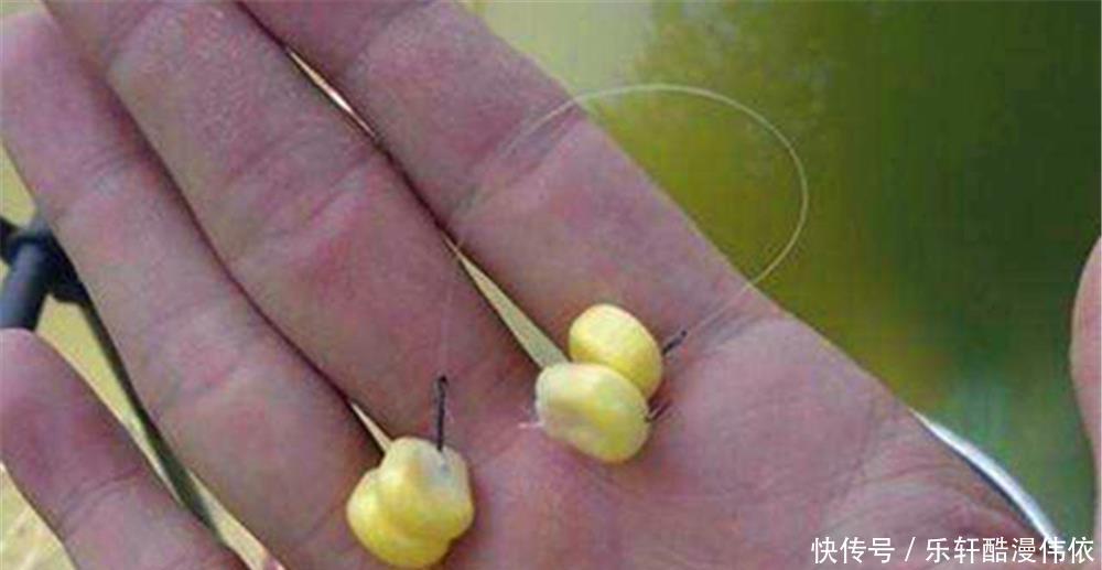 素饵|初夏野钓“最强素饵”,用这些饵料钓大鱼,少有“空军”的时候!