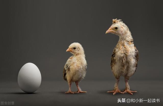 大脑&“脑子太耗能了,吃掉它好了!”读了这本书,奇怪的知识增加了