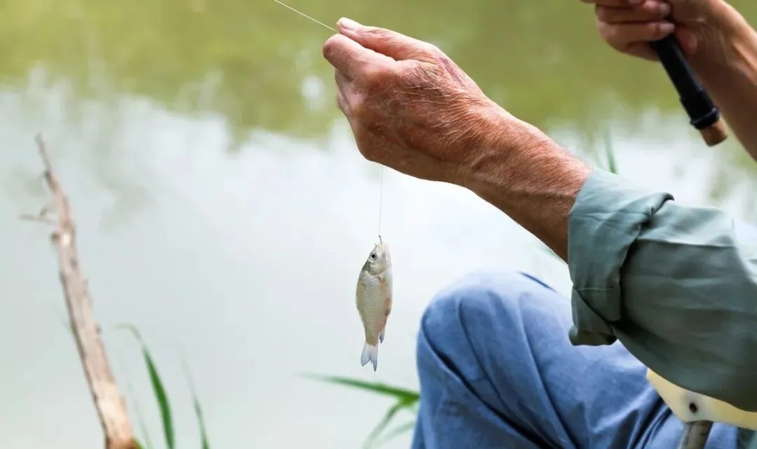 冬季钓鲫鱼,为什么鱼情差?这5个常识性的错误,总有一款适合你