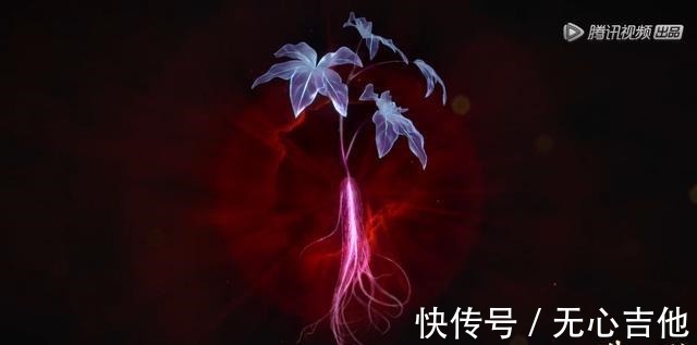 人面魔蛛|斗罗大陆小舞献祭后唐三魔怔,复活方法条件苛刻,人面魔蛛被宰