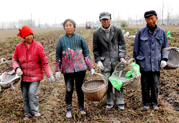 张老爷子|105岁老人的养生秘方50岁后多吃“5种苦”,晚年健康生病少