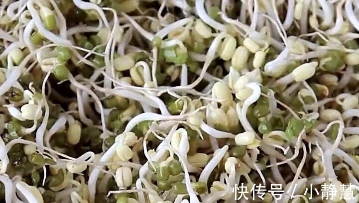 盖子|想吃绿豆芽别再买,教你在家生,一碗绿豆生一大盆,做法超简单