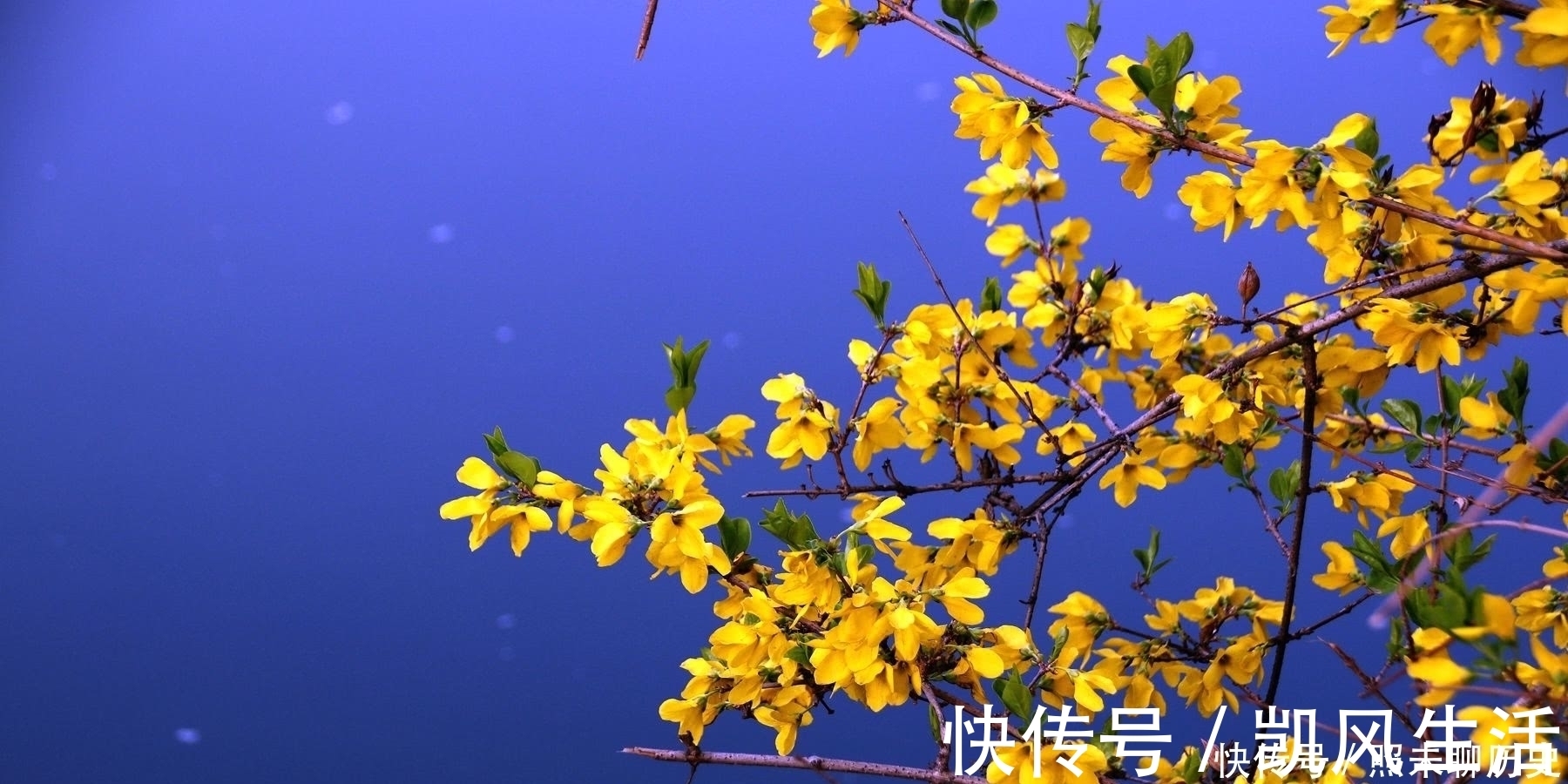 脾气|人若有这三个修养,就会让自己的内心变得越来越强大,无坚不摧