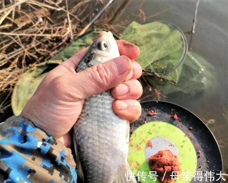 冬天钓到鲫鱼不难,想要钓到大鲫鱼,还得用这些基本功才行