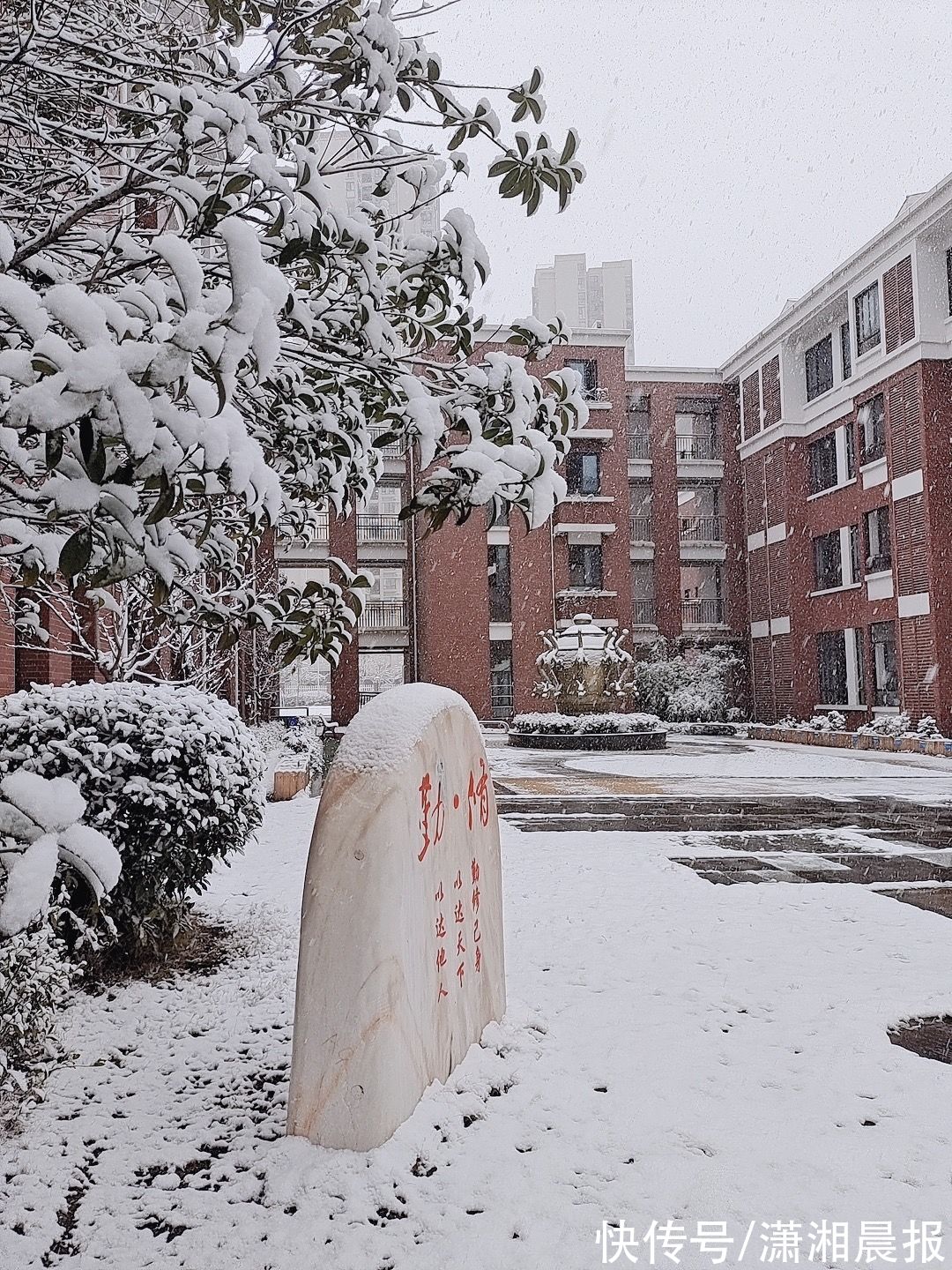 长沙|长沙初雪自带美颜滤镜，校园里“千树万树梨花开”