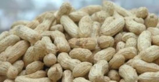 致癌|营养师提醒熬粥的时候不要放此食材，常吃易致癌，后悔才知道