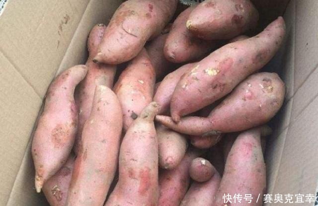 学会|保存红薯,直接丢地上是大错!学会这招,放半年都不坏,越放越甜