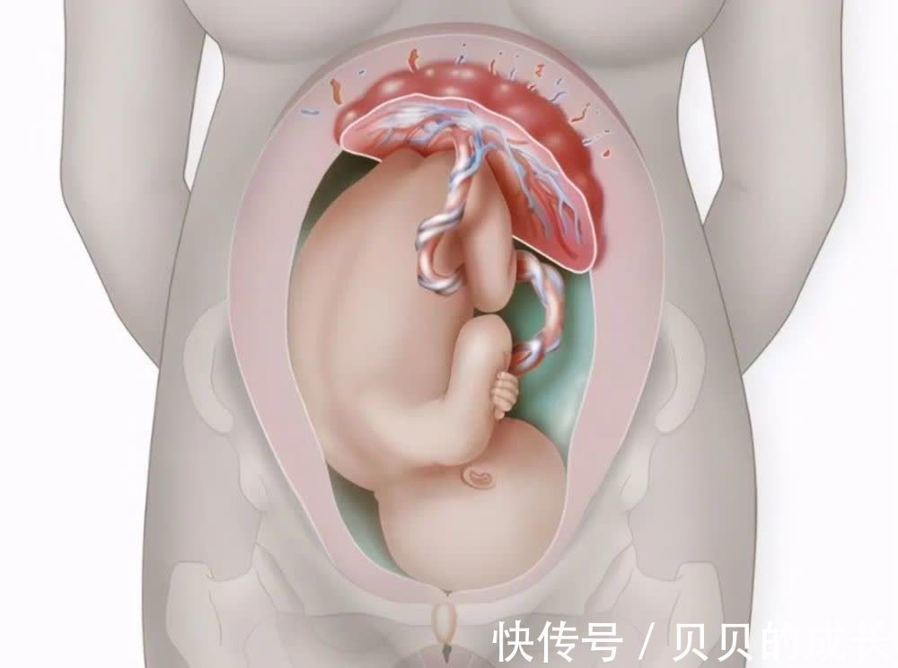 胎儿|孕晚期胎儿进入体重猛涨期,孕妈除了补营养,这6方面也不能大意