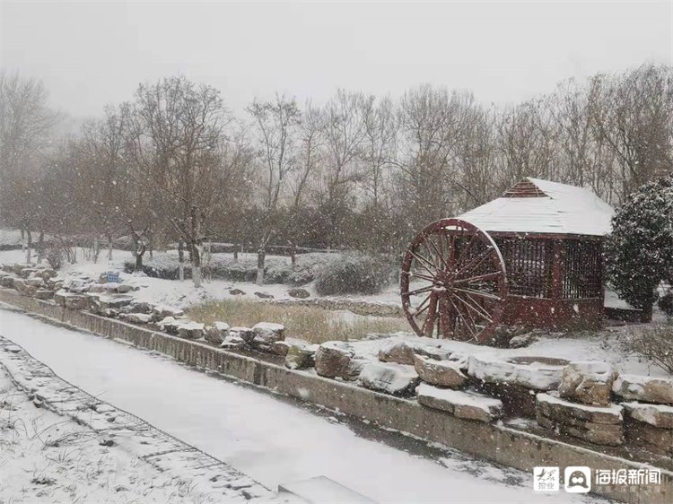 孙永莲|一场雪让潍坊美成了这样