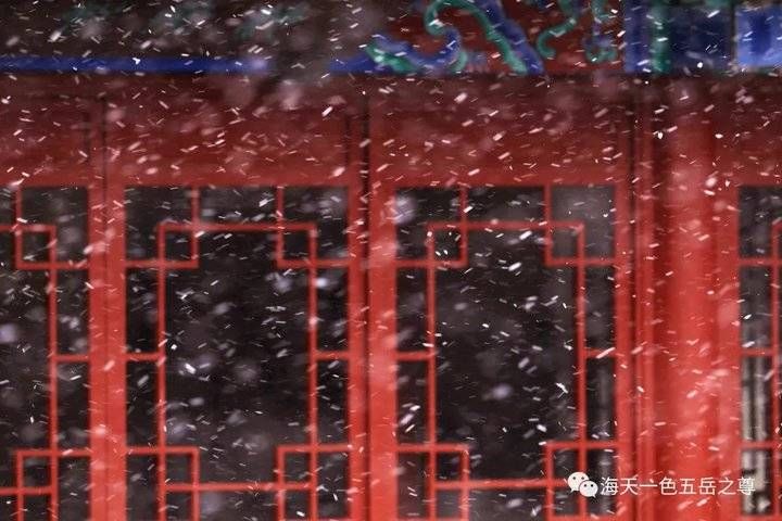 百脉泉|雪泉共舞，百脉氤氲：泉城第一场雪，百脉泉飞花穿庭，盛雪芳华