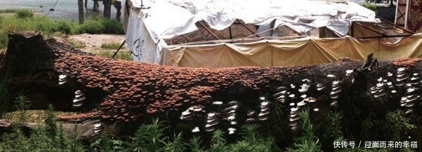 宁海财神谷:自带仙气的景区