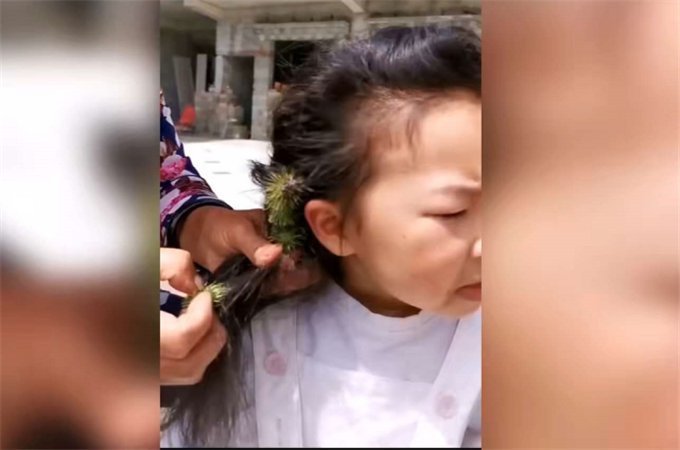 危险|女孩自制“牛蒡皇冠”,戴上时洋洋得意,摘下时哭着向奶奶求救