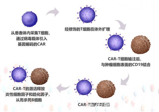 腾飞|新抗癌特效药出炉靠自身免疫对抗癌细胞，价格高昂一针120万！