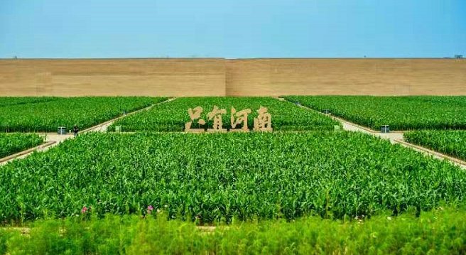 姜继鼎|老家河南开门迎客！河南文旅复工复产启动仪式在只有河南·戏剧幻城举行