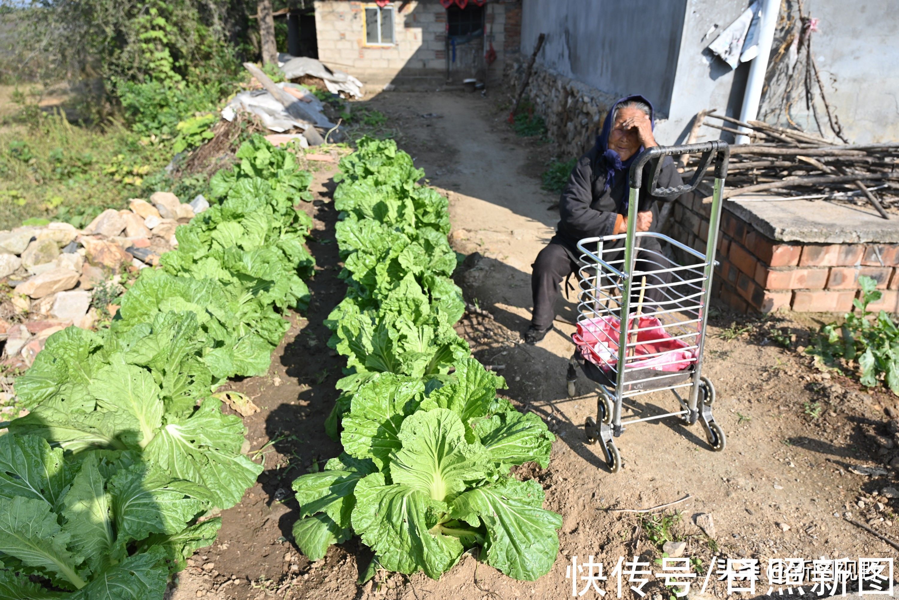 长寿|100岁奶奶,饭前习惯特殊,至今满头黑发,看长寿秘诀是啥
