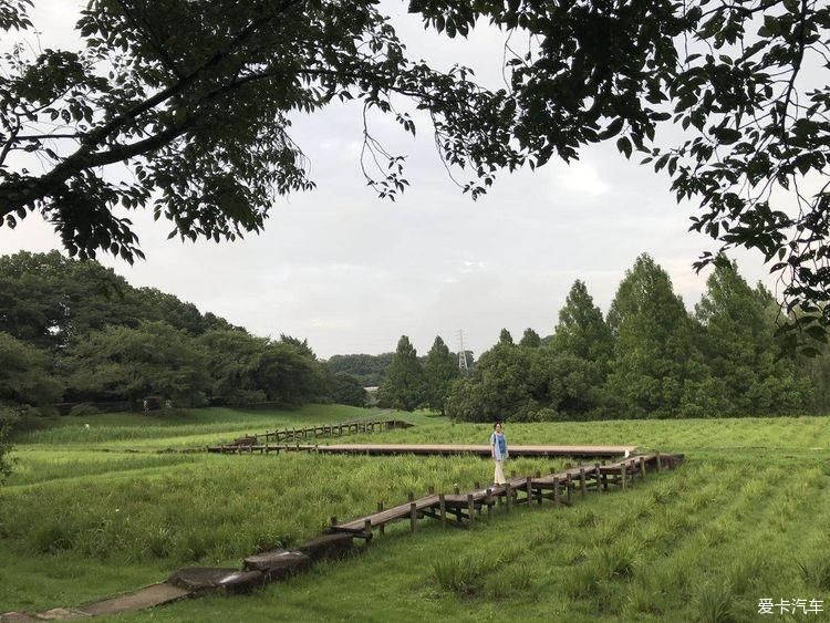 随处是风景