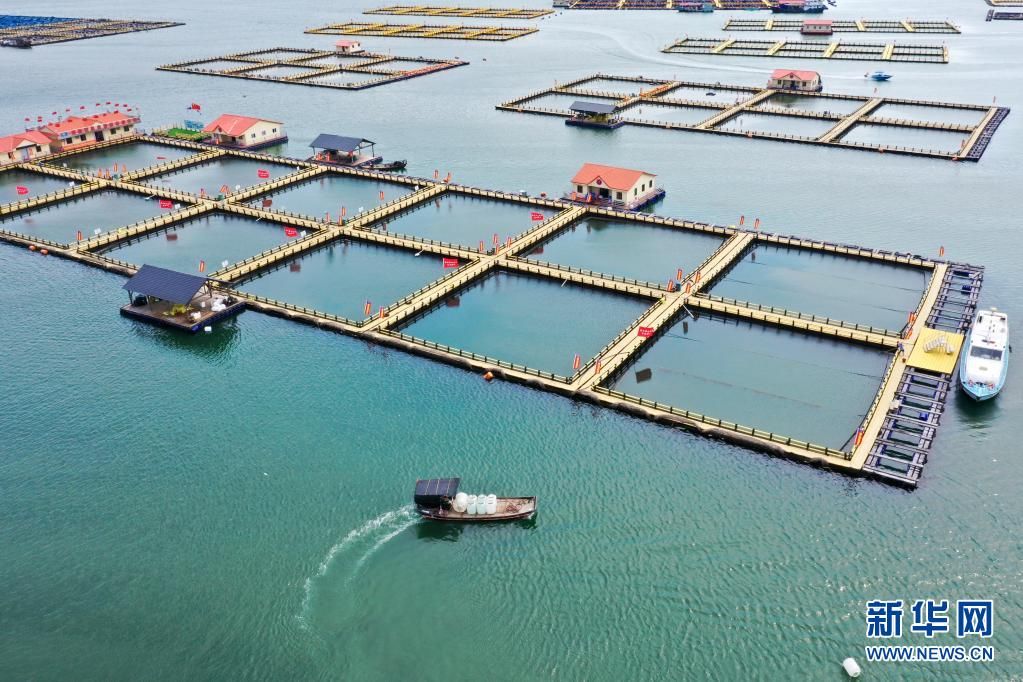 宋为伟|奋斗百年路 启航新征程·神州巡礼·图文互动丨福建：念好高质量发展的“山海经”