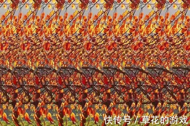 图片&25张裸眼3D图片,带你重温童年的记忆,感受3D的魅力!