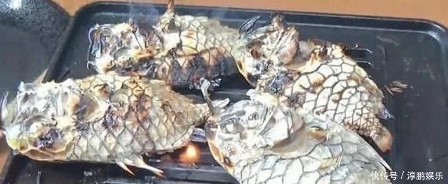最“坚硬”的鱼,菜刀都对它无可奈何,想吃到它不容易啊