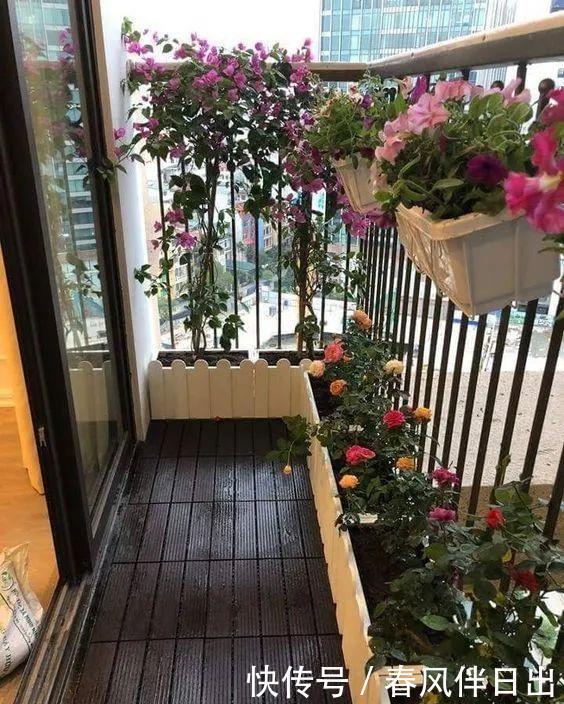 过上悠哉的小日子,不一定非要院子,有个阳台,一样可以养花种菜