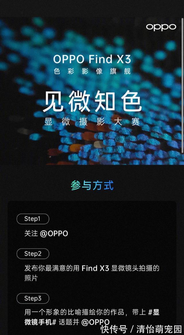 oppo|微观世界有多神奇？在肉眼不可见的景色里，竟然藏着另一个春天