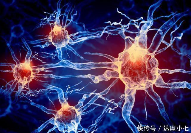 神经元|119岁老人抽烟喝酒不运动,长寿秘诀很简单,坚决不做“这件事”