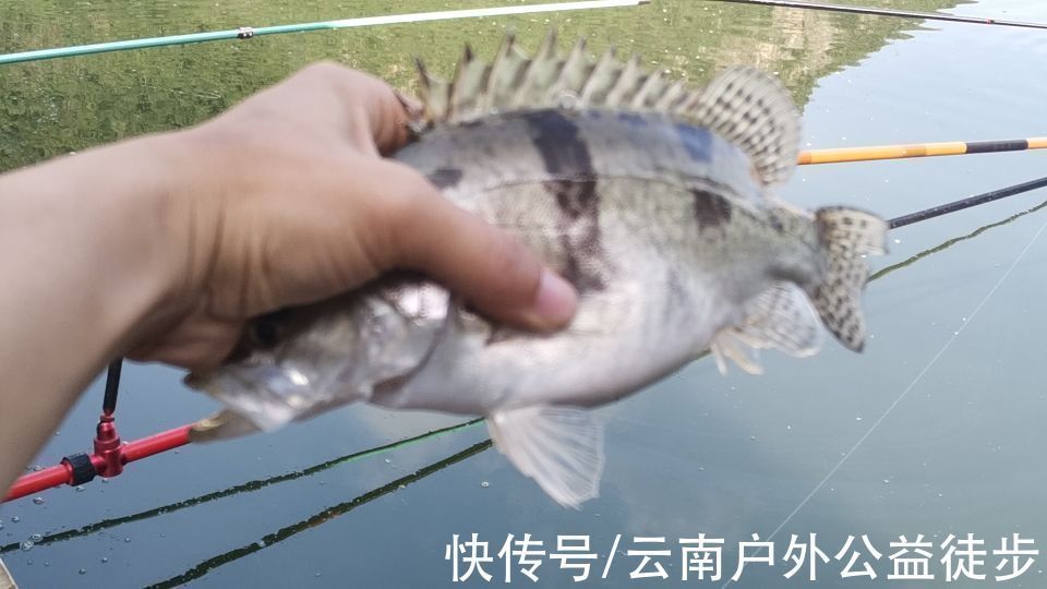 柴石滩水库体验新钓棚,三人钓一窝,钓获20斤米级草鱼,太过瘾了