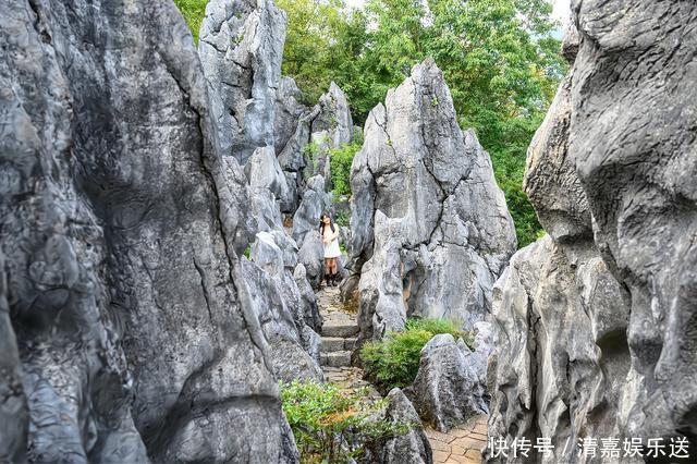 地质|“华东第一石林”千岛湖石林，江南罕见的地质奇观，壮观且秀丽