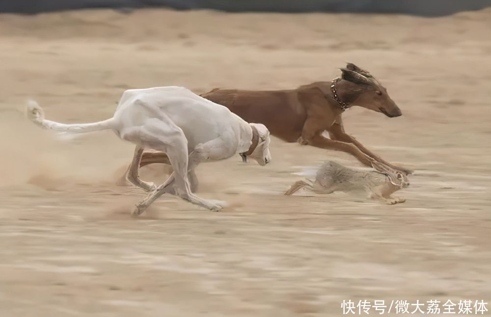 刘新成｜马主任不平凡的人生路