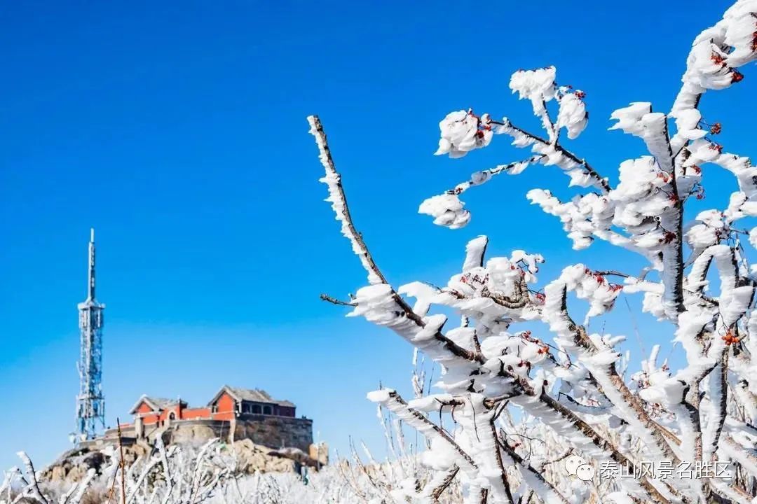 老年|跟随姚鼐的散文《登泰山记》冬览泰山