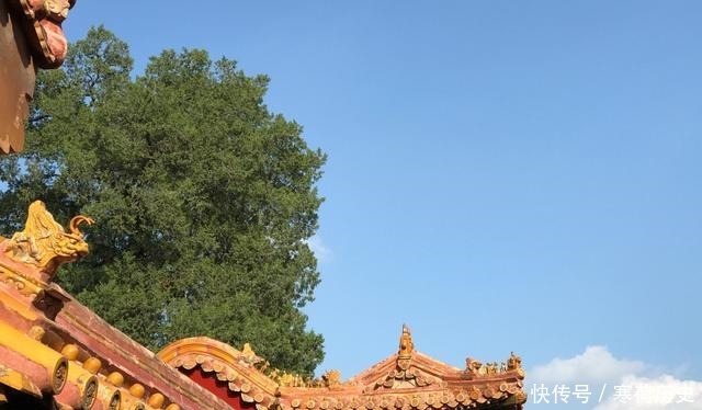 大气|蓝天下的红墙黄瓦,最符合国人审美的庄严美丽大气