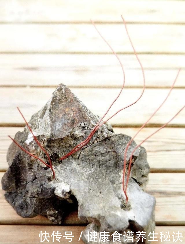 “岩石与树枝”一步步完美契合，叹服附石盆景的魅力无人能挡！