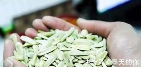 中老年人|“植物安眠药”终被发现，白开水里面加一点，喝完沾床就睡不失眠