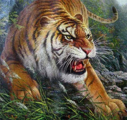 出山|俗语“人到四十五,正是出山虎”,讲的是啥?老祖宗的肺腑之言