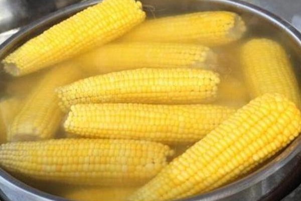 煮玉米的水特“值钱”,别倒掉了厉害用途大多人不晓得,学学吧