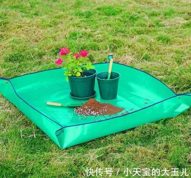 给花换盆注意这3点，否则换一盆死一盆，千万牢记