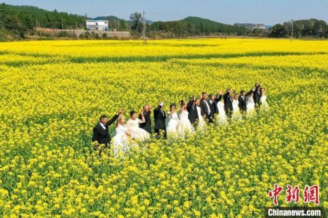 航拍江西多地油菜花陆续绽放 一派春日田园景象