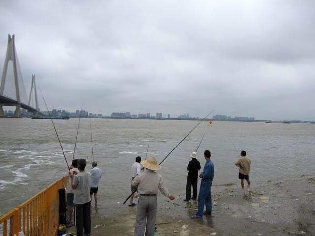 江鱼|再也钓不到长江水米子,最好吃江鱼之一,如今已难觅踪迹