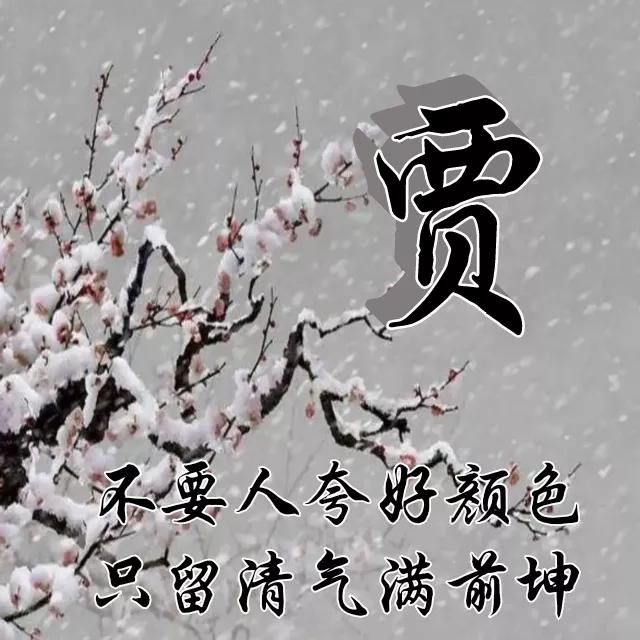  红梅|红梅花儿开，朵朵放光彩，千里冰霜脚下踩