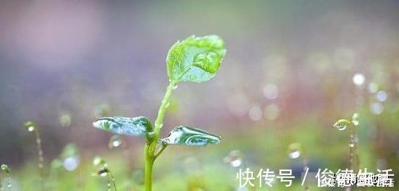 备孕|无论头胎还是二胎,若在这几个阶段出生,或许是一位有福气的宝宝