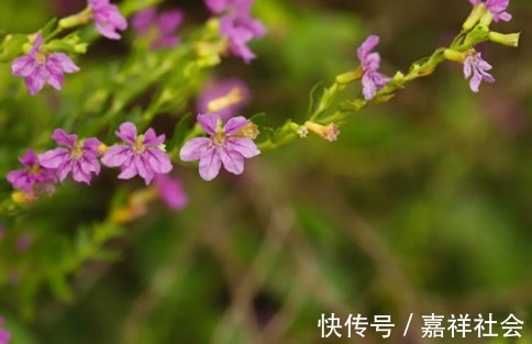 妻子|对妻子挑三拣四，自己却没有能力的3生肖男，女人要看清楚