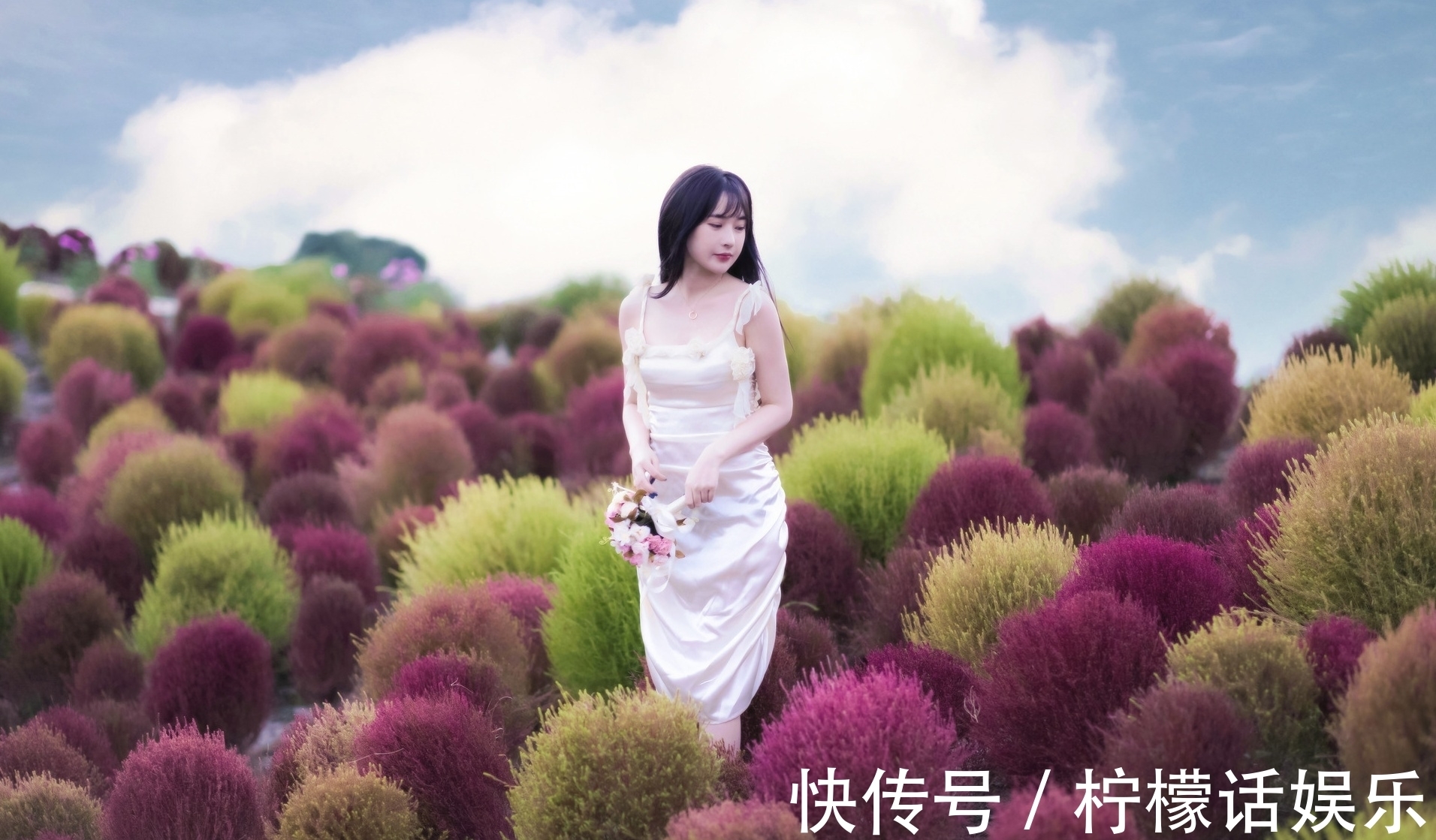 诗心$诗·十二首丨人近丛林惊鹊鸟,菊斟满盏煮诗心