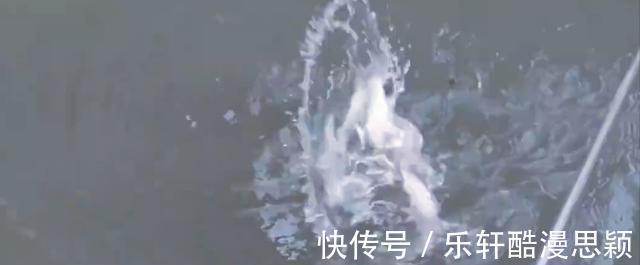 浙江一男子野钓频繁“双咬”，两小时钓获20多斤，网友神级钓手